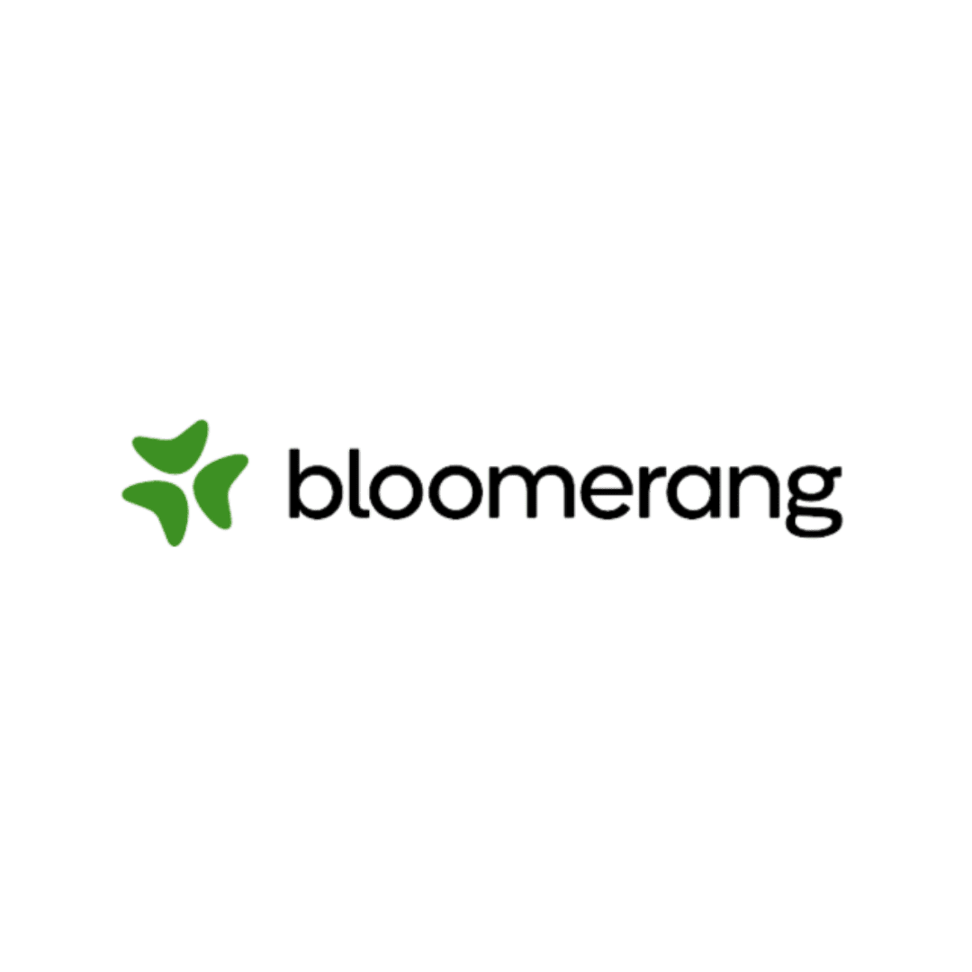 Bloomerang Logo - 1