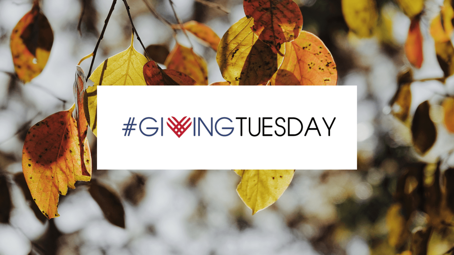 GivingTuesday